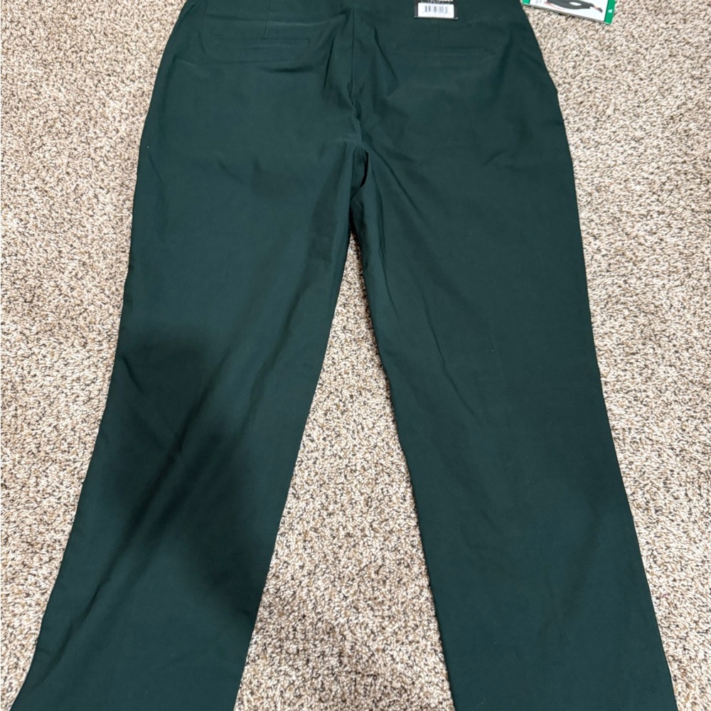 Hilary Radley Woman’s Dark Green Dress Pants - Picture 5 of 6